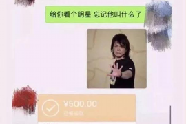 万载融资清欠服务